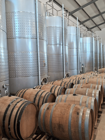 Mountainbiken Cavaleiro